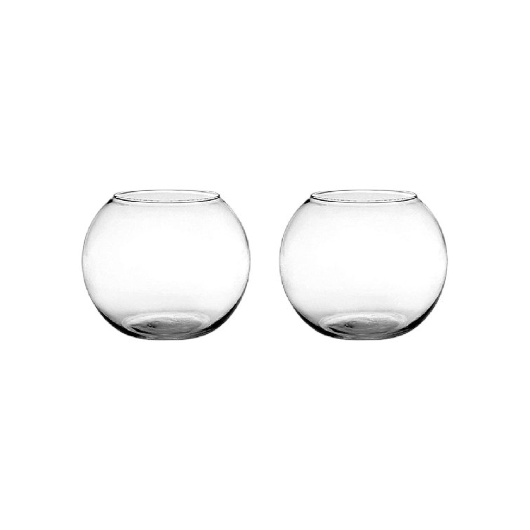 Latitude Run® 2 Piece Leilaney Clear Indoor / Outdoor Glass Table Vase